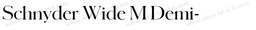 Schnyder Wide M Demi字体转换